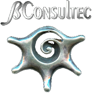 BConsultec Logo